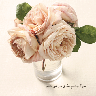 bntpal_1439880204_34