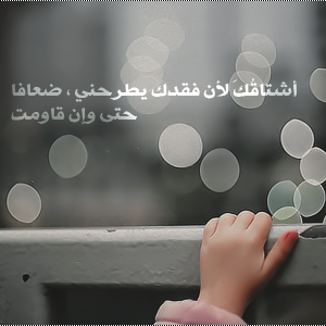 bntpal_1439880216_24