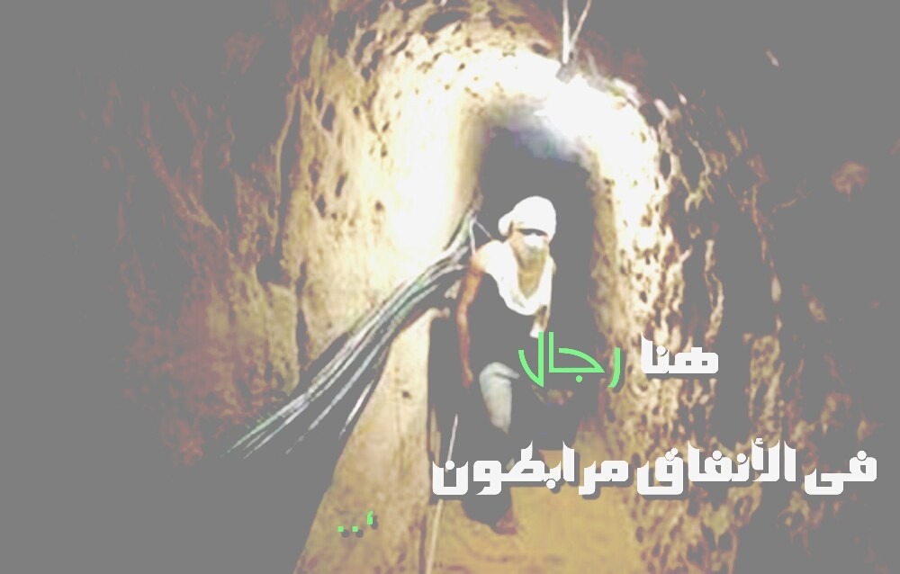 " bntpal_1439901345_91