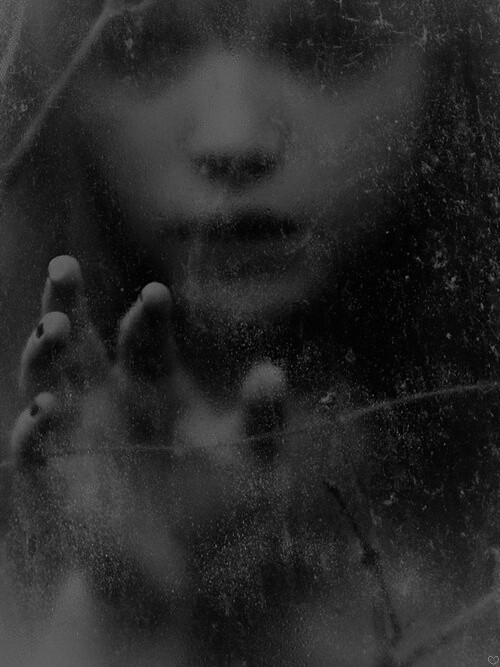 ۶ bntpal_1439920320_26