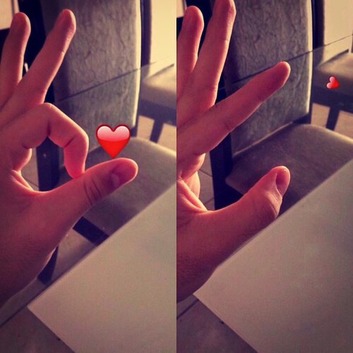 bntpal_1439979620_73