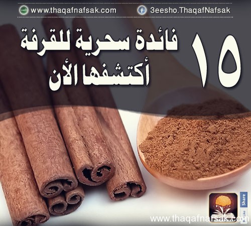 bntpal_1439984252_30