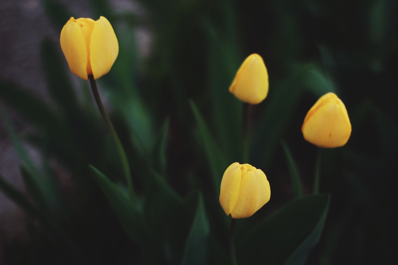 " bntpal_1440156951_55