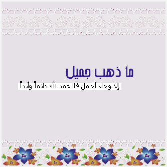" bntpal_1440180274_16