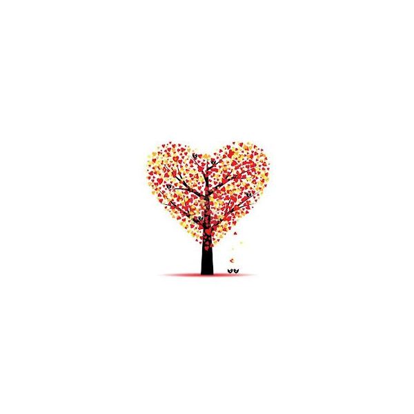bntpal_1440180418_12