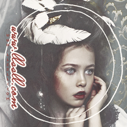 2015 2015 " " bntpal_1440180547_51