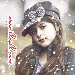 2015 2015 " " bntpal_1440180559_78