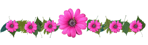 ~!! bntpal_1440183340_96