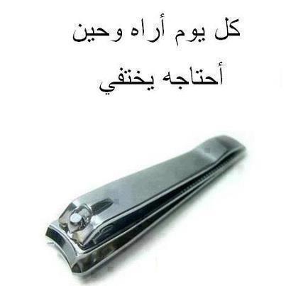 bntpal_1440431231_44