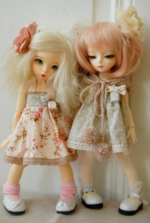 bntpal_1440458382_40