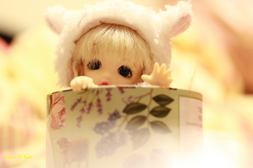 bntpal_1440458383_43