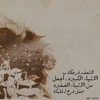  bntpal_1440520789_94