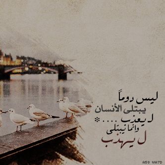 bntpal_1440520790_39