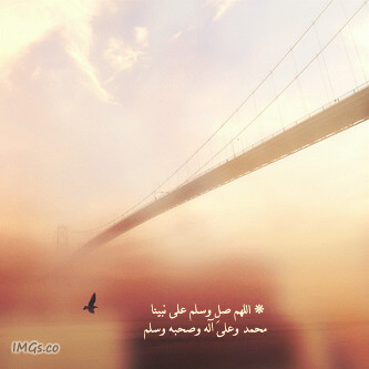  bntpal_1440520790_43