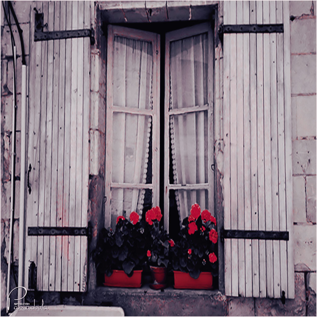    bntpal_1440521195_46