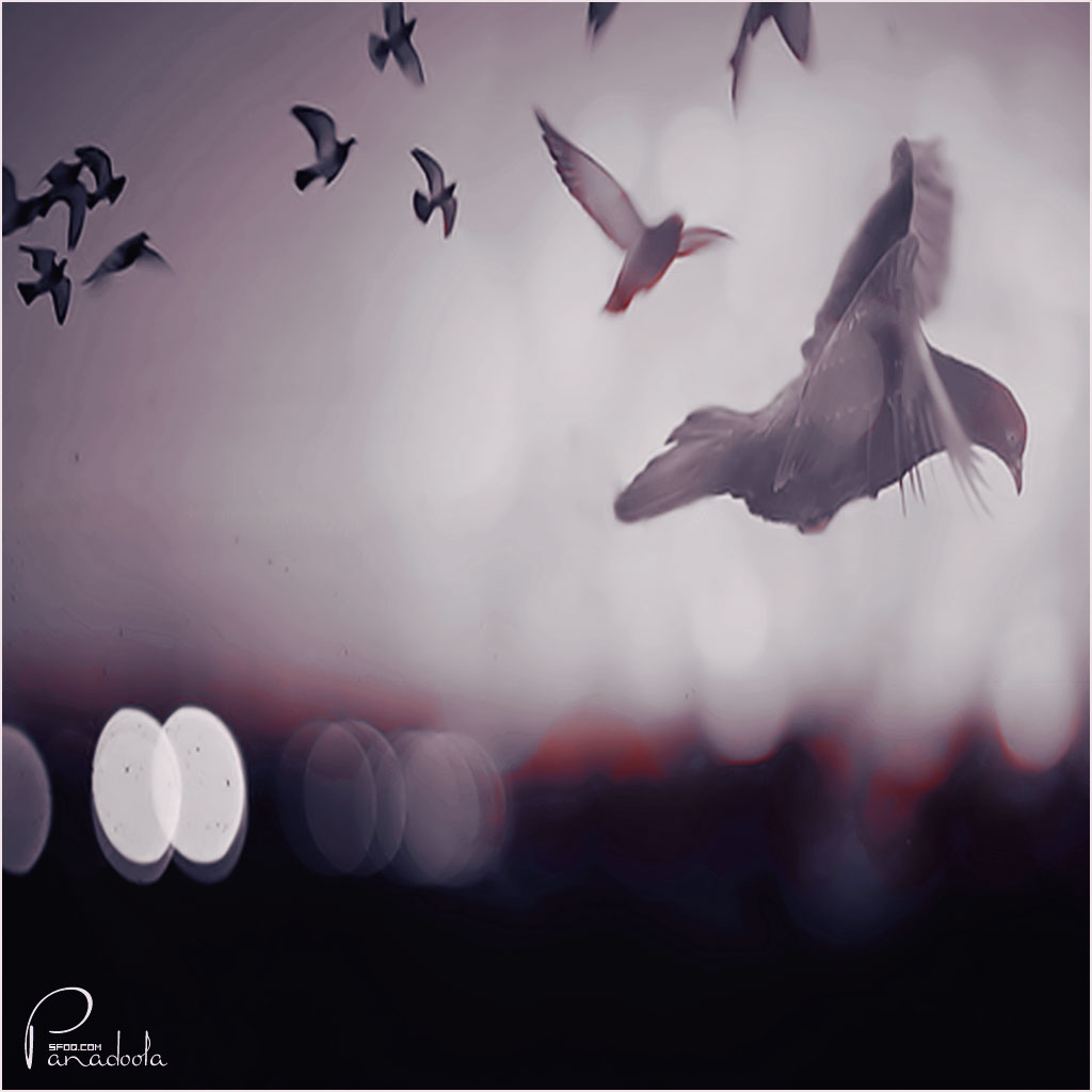    bntpal_1440521207_14