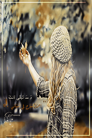 bntpal_1440521251_29