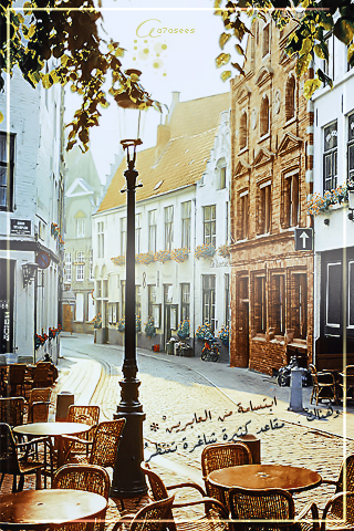 bntpal_1440521254_82