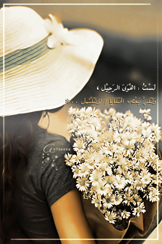 bntpal_1440521259_80