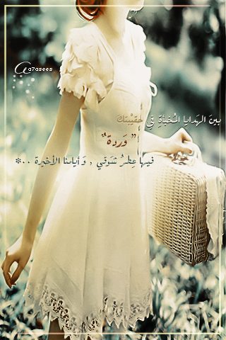 bntpal_1440521260_17