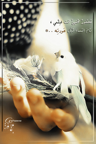 bntpal_1440521264_76