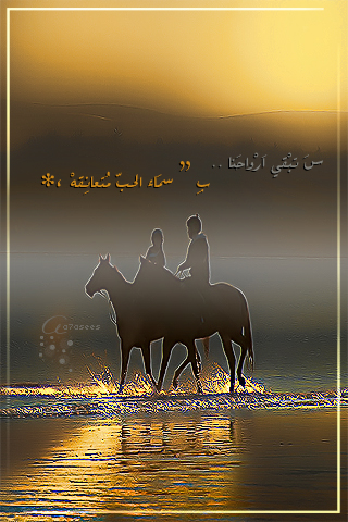 bntpal_1440521267_12