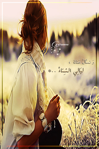 bntpal_1440521288_46