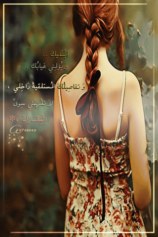 bntpal_1440521294_32