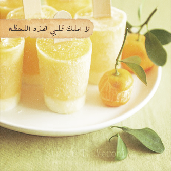 bntpal_1440522177_59