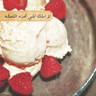 bntpal_1440522178_47