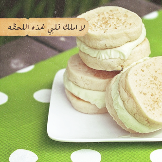 bntpal_1440522183_41