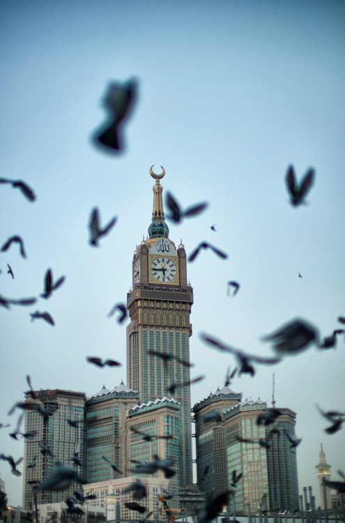 ❥ bntpal_1440570243_12