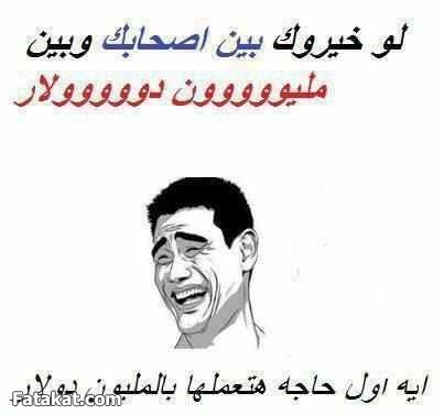 bntpal_1440777836_80