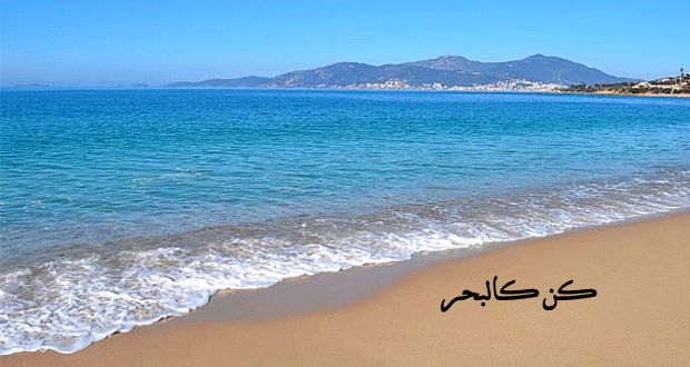bntpal_1440798159_90