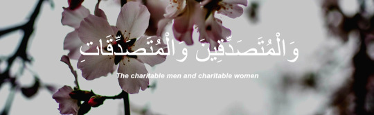    bntpal_1440839737_41