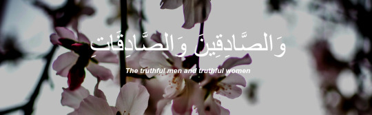    bntpal_1440839737_47