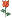 bntpal_1440932706_17