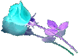 bntpal_1440969858_16