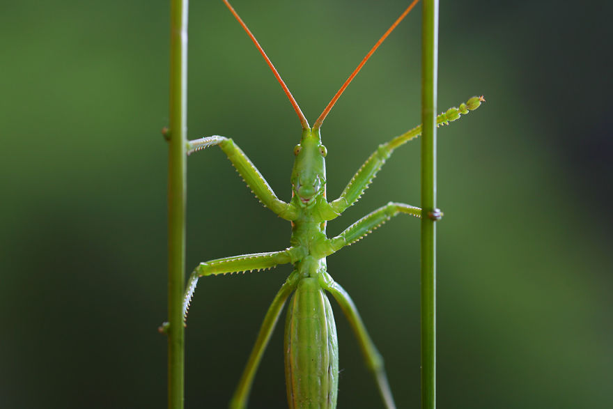  bntpal_1440970098_74