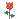 bntpal_1440973405_71