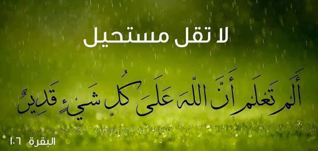 bntpal_1441093620_24
