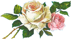  bntpal_1441550887_45