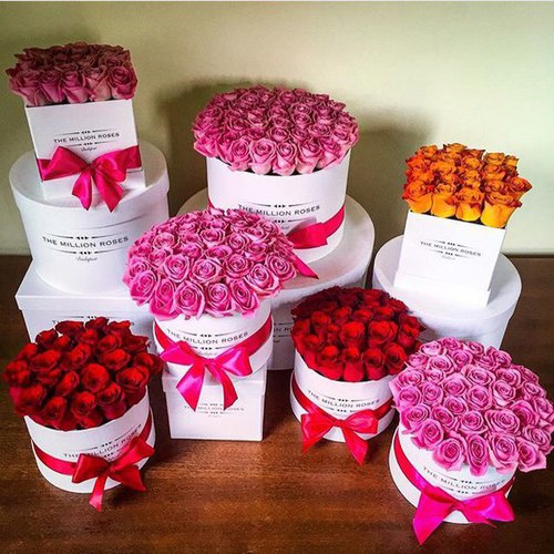 [♥] [♥] bntpal_1441609487_33