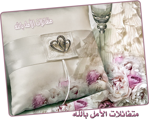  bntpal_1441722473_92