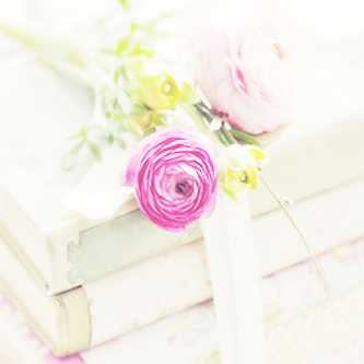 -2016 bntpal_1441814375_85