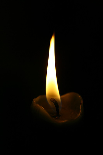 bntpal_1441931005_93