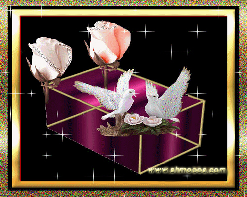 bntpal_1442084509_40