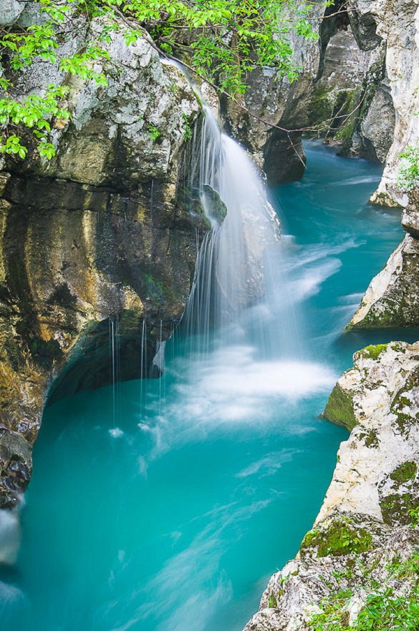 `~ bntpal_1442123033_21