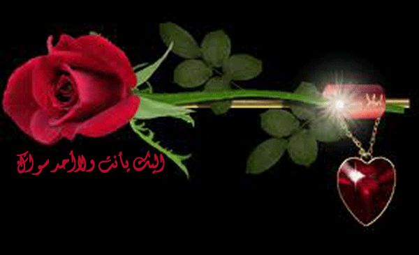 bntpal_1442149408_27