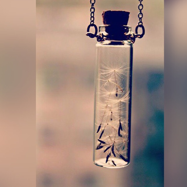  ,,🌹 bntpal_1442241092_42